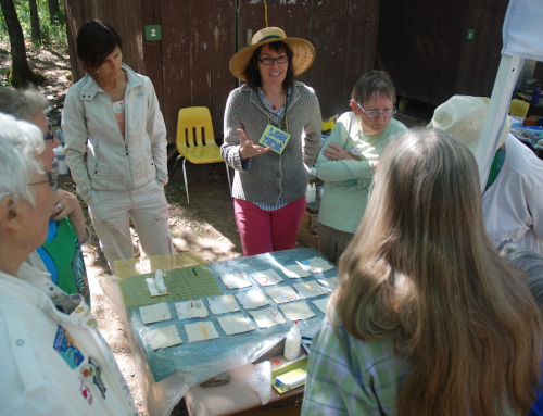 Bookmaking Class