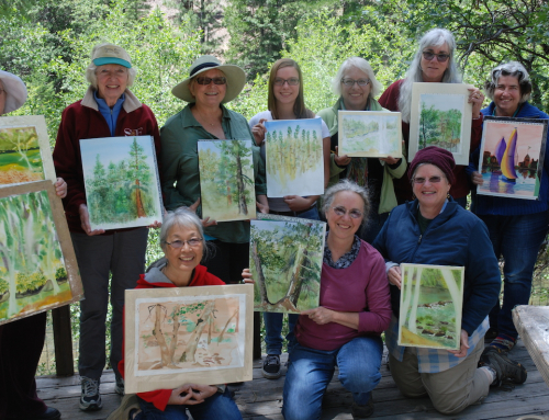 Watercolorists Display their Work