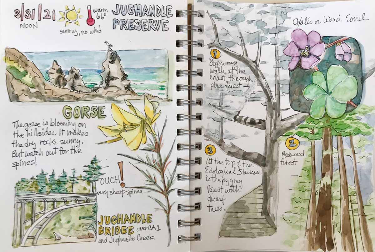 Nature journaling: Sketching, writing down what you see helps make  connection to the outdoors, Home/Garden